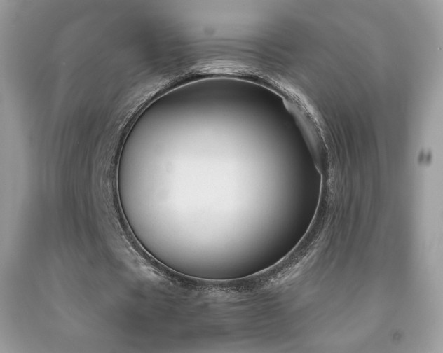 X0000091980529200709061357