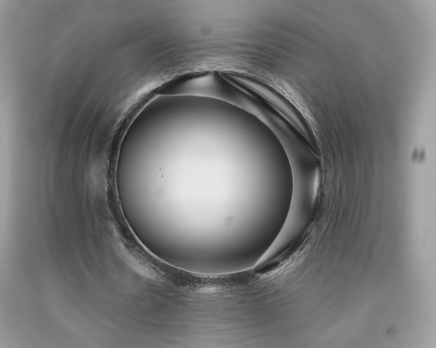 X0000091980530200709061357