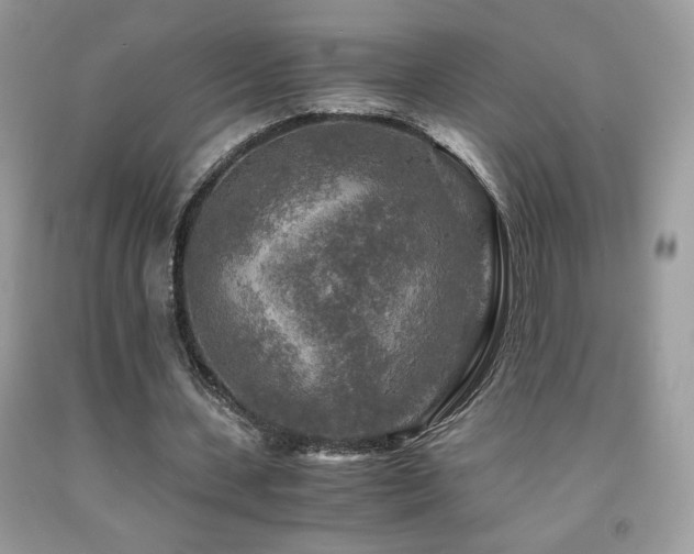 X0000091980531200709061357