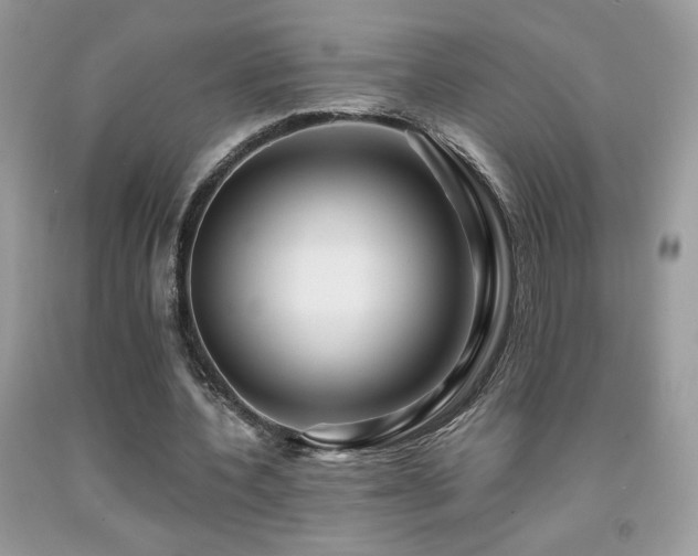 X0000091980532200709061357