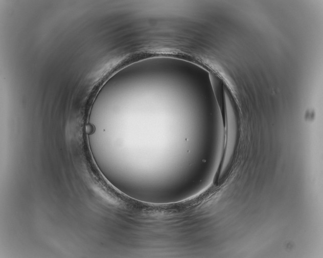 X0000091980533200709061357