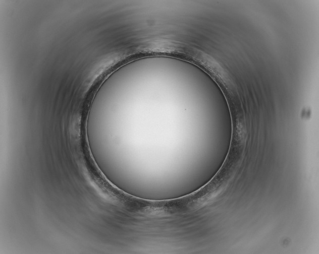 X0000091980534200709061357