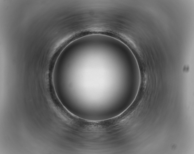 X0000091980535200709061357