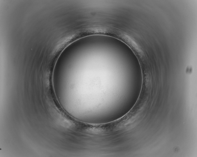 X0000091980537200709061357