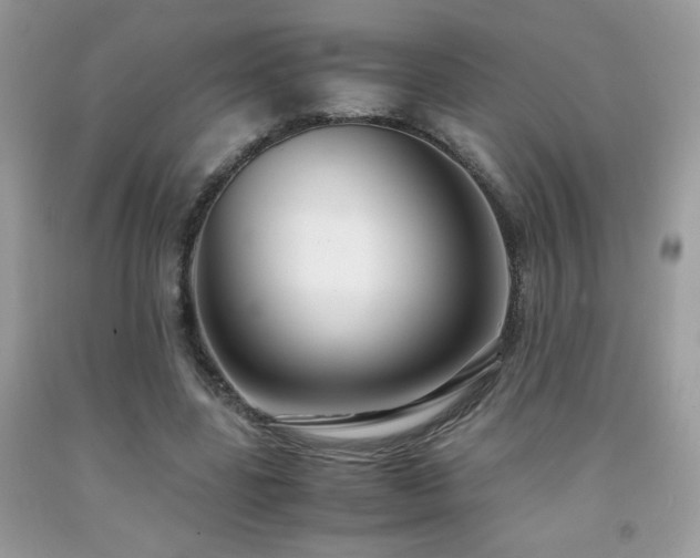 X0000091980539200709061357