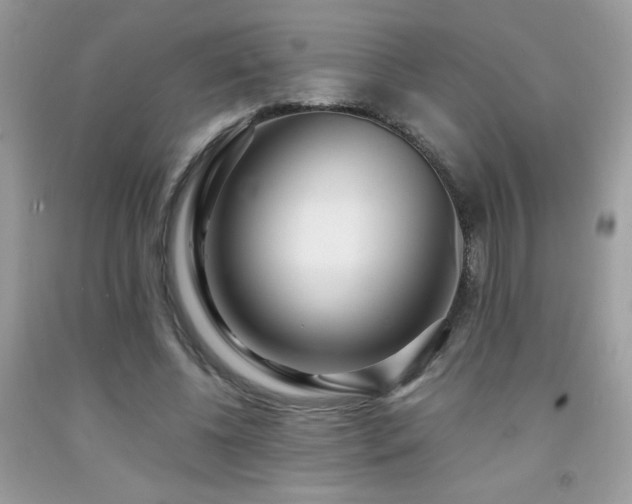 X0000091980540200709061357