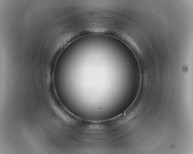 X0000091980541200709061357