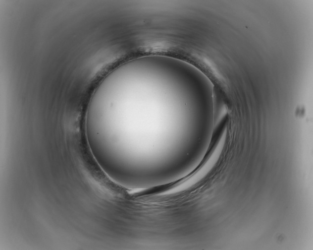 X0000091980543200709061357