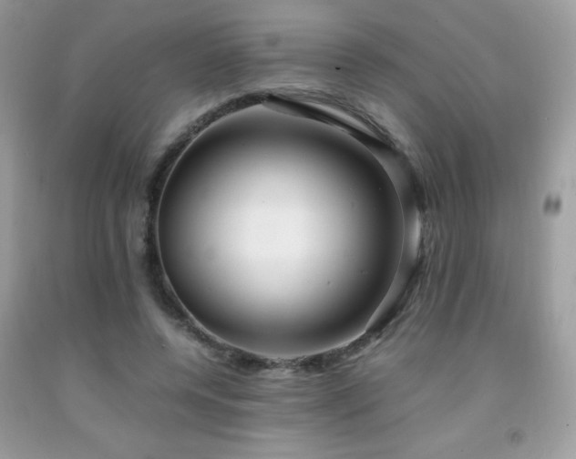 X0000091980544200709061357