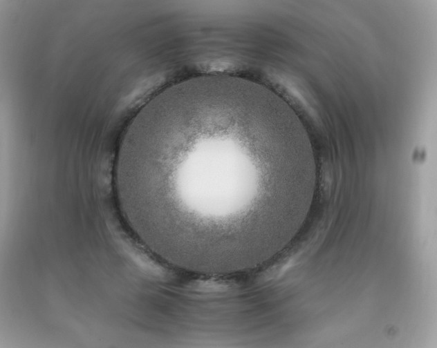X0000091980545200709061357