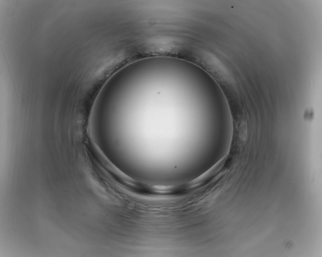 X0000091980546200709061357
