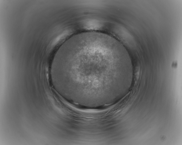 X0000091980547200709061357