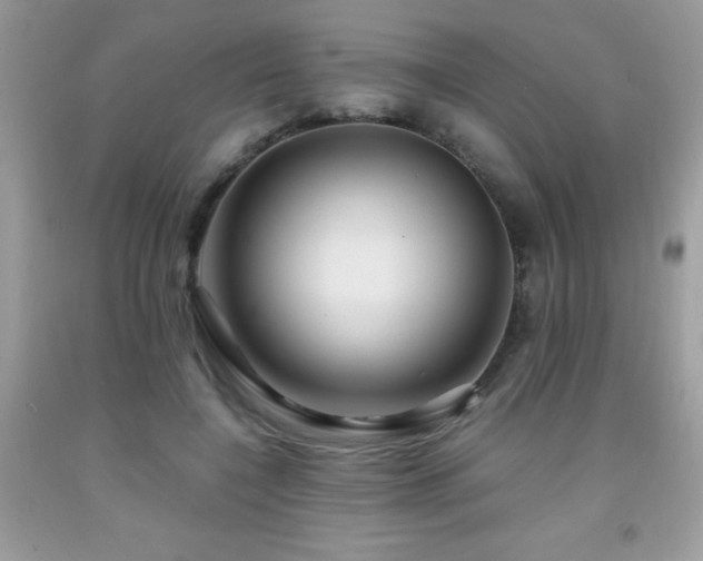X0000091980548200709061357