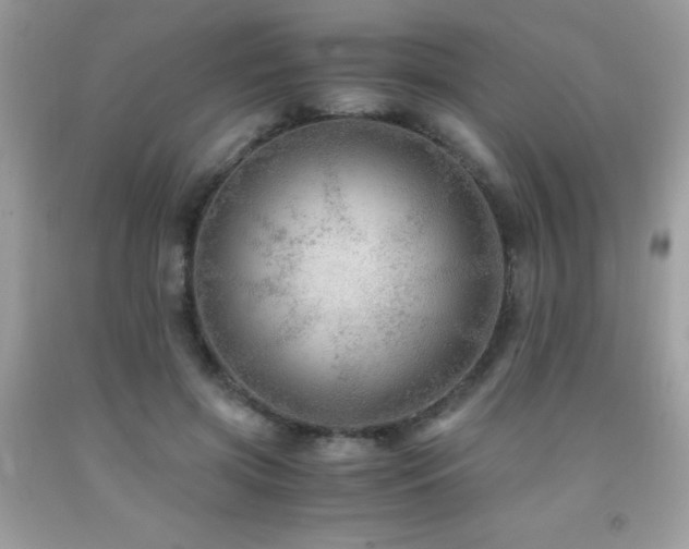 X0000091980549200709061357