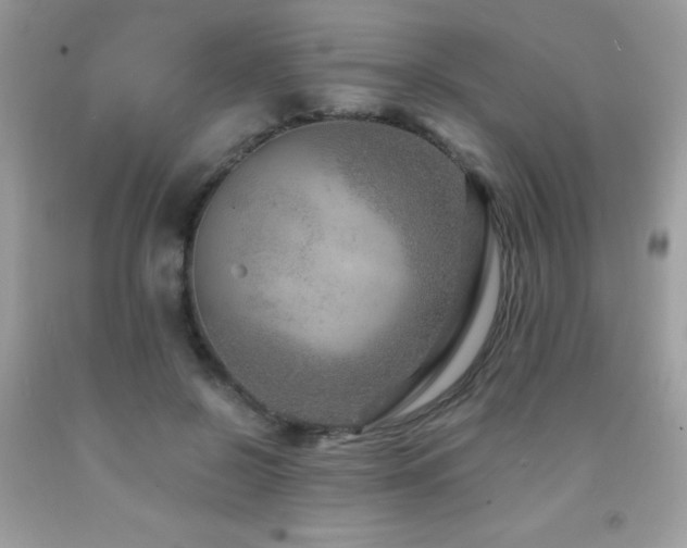 X0000091980550200709061357