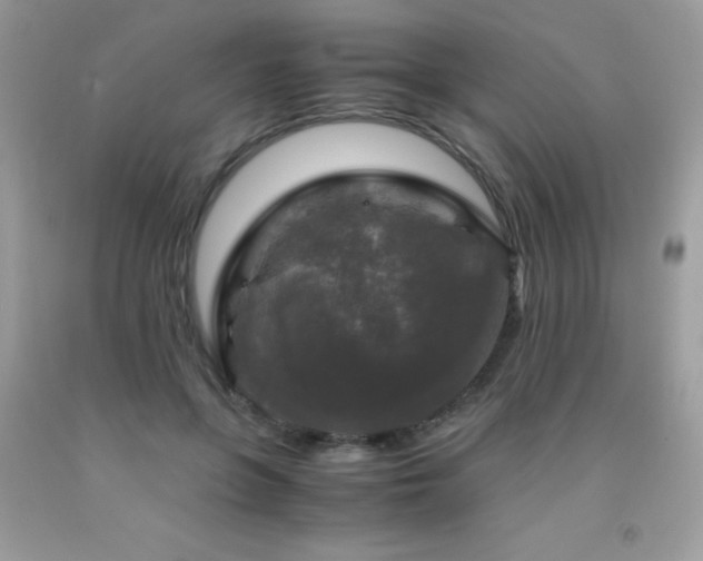 X0000091980551200709061357