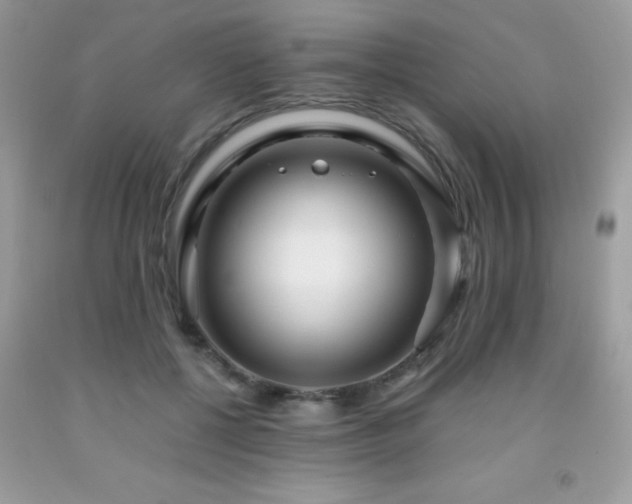 X0000091980552200709061357