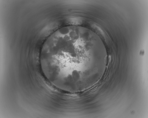 X0000091980553200709061357