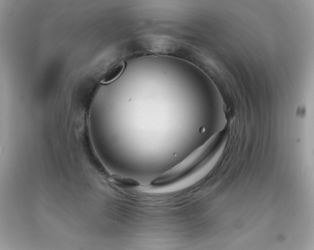 X0000091980554200709061357