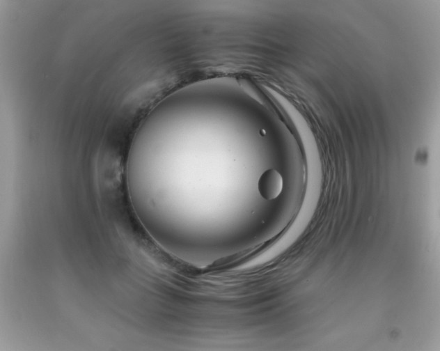 X0000091980555200709061357