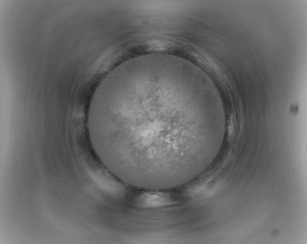 X0000091980557200709061357