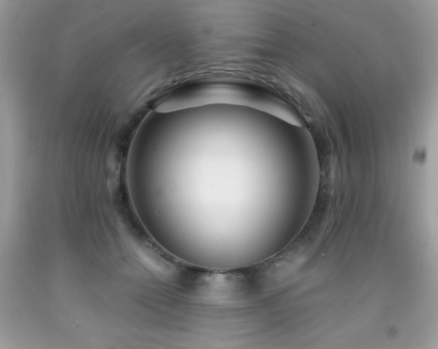 X0000091980558200709061357