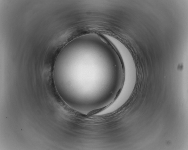 X0000091980559200709061357