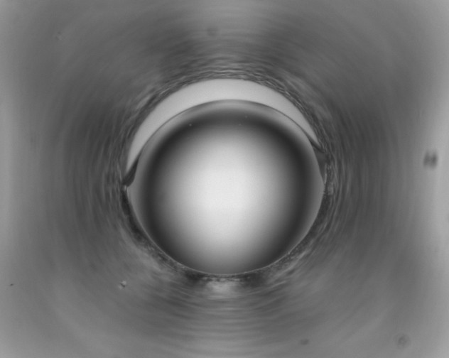 X0000091980560200709061357