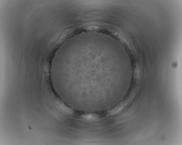 X0000091980561200709061357
