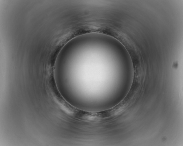 X0000091980563200709061357