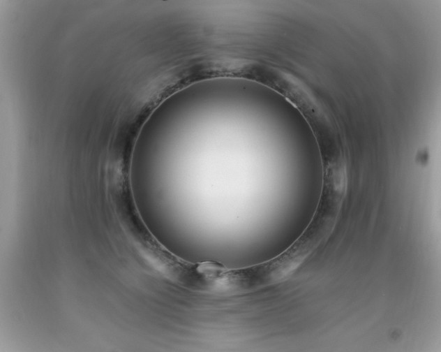 X0000091980564200709061357