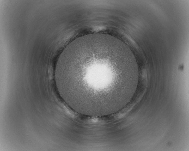 X0000091980565200709061357