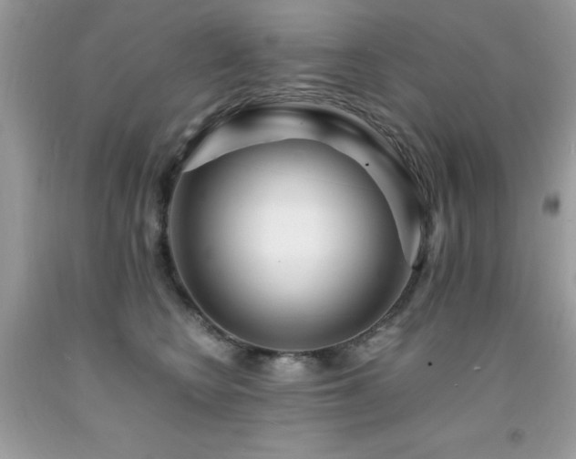 X0000091980566200709061357
