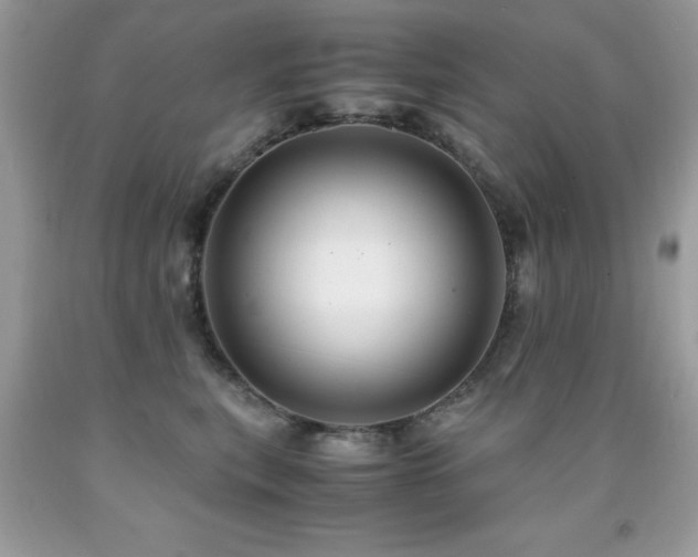 X0000091980567200709061357