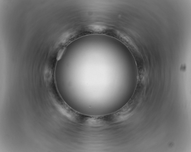 X0000091980568200709061357