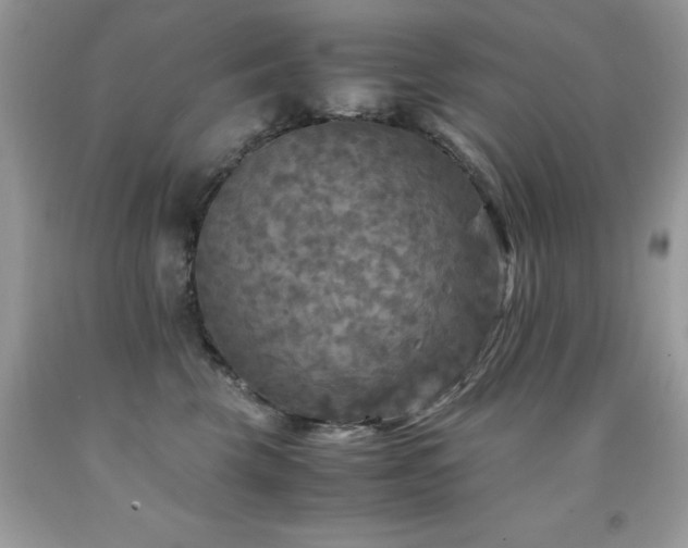 X0000091980569200709061357