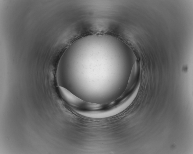 X0000091980570200709061357