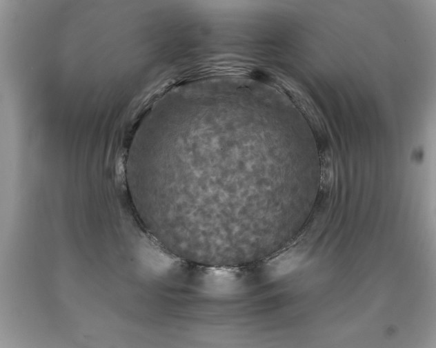 X0000091980573200709061357