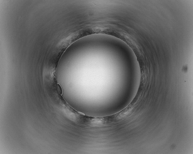 X0000091980574200709061357