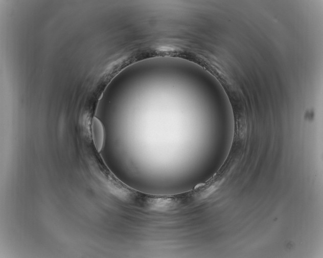 X0000091980575200709061357