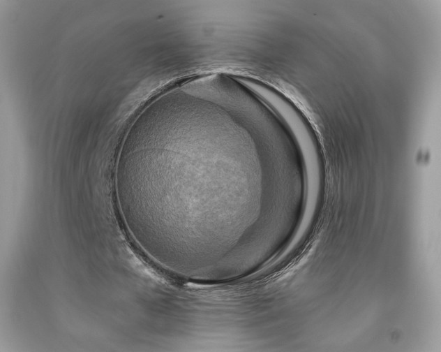 X0000091980577200709061357