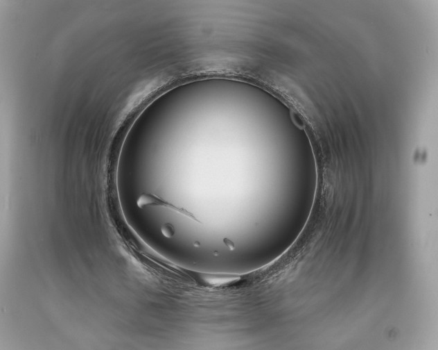 X0000091980578200709061357