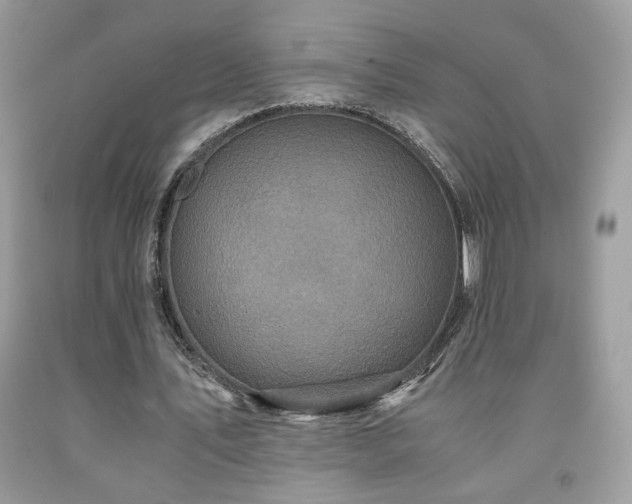 X0000091980579200709061357