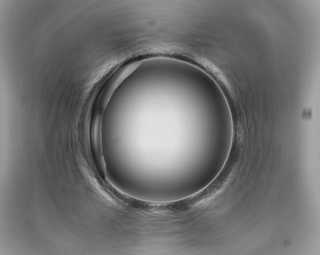 X0000091980581200709061357