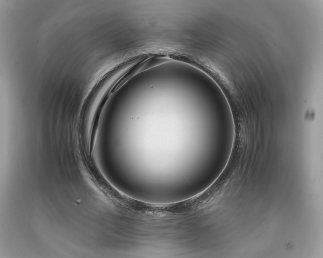 X0000091980582200709061357