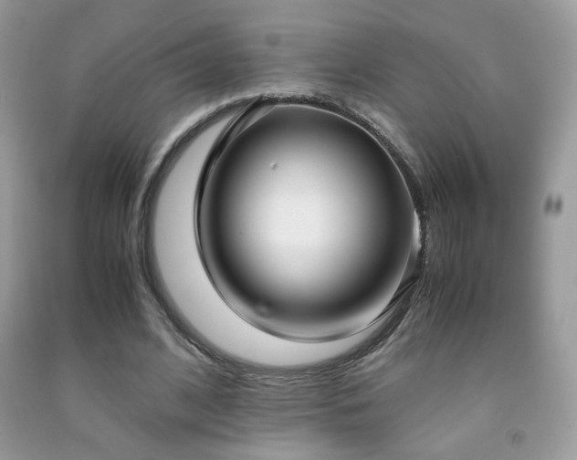 X0000091980584200709061356