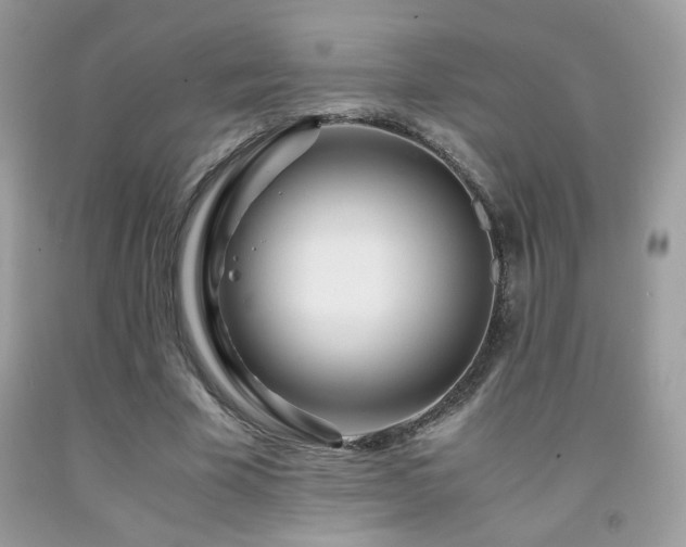X0000091980585200709061356