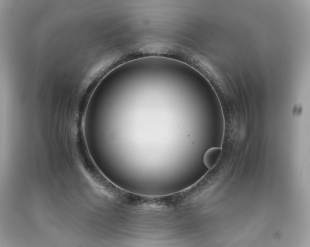 X0000091980586200709061356
