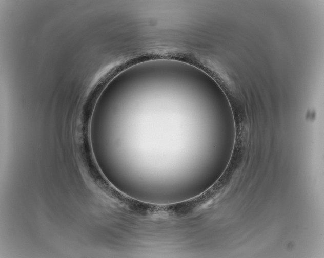 X0000091980587200709061356