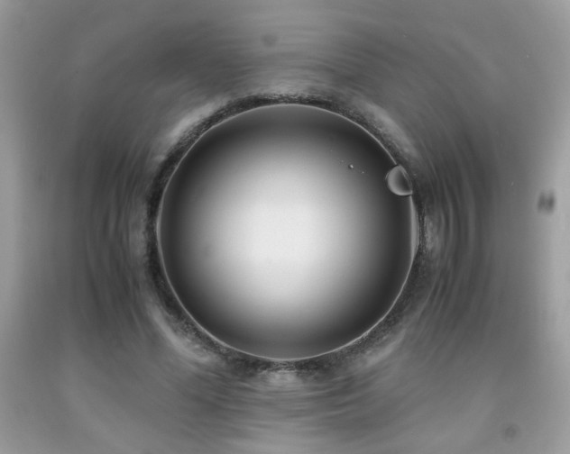 X0000091980588200709061356